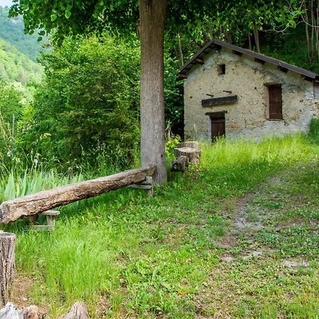 In Liguria Near Barbottina Forest *