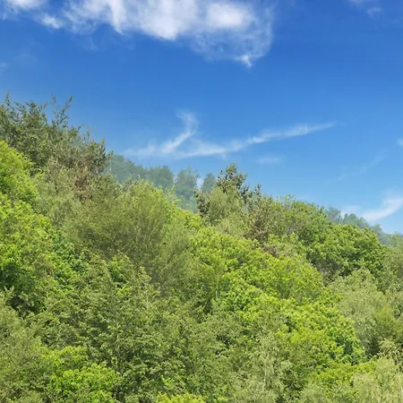 In Liguria Near Barbottina Forest *