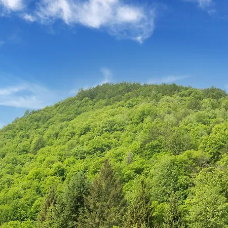 別荘 In Liguria Near Barbottina Forest *